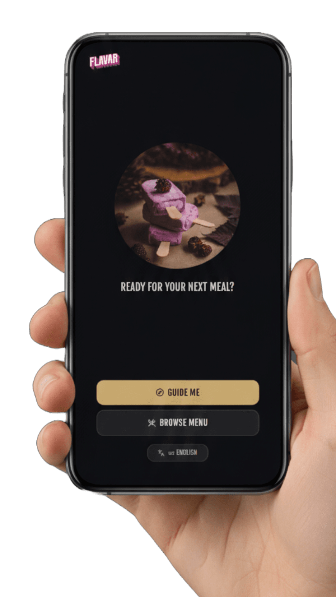 Flavar Intelligence — application homescreen